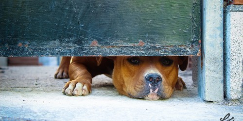 Anxiety: How Medication Can Radically Improve Your Life