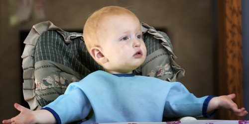 Are Meat And Fish Wholesome Baby Food?