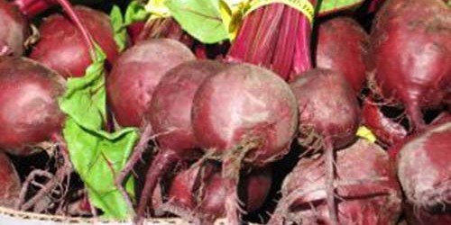 Nutritional Advantages of Beets