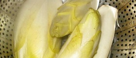 The Health Benefits of Belgian Endive