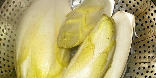 The Health Benefits of Belgian Endive