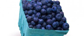 Health Benefits of Blueberries