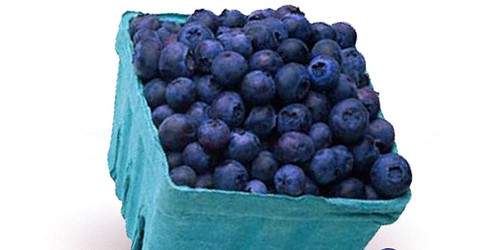 Health Benefits of Blueberries