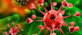 Basic Information About Salmonella Food Poisoning