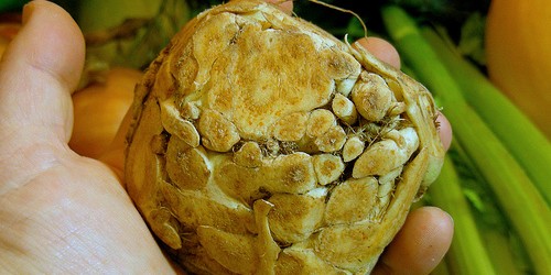 Health Benefits and Uses of Celery Root