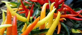 Why You Should Include Chili Peppers in Your Diet