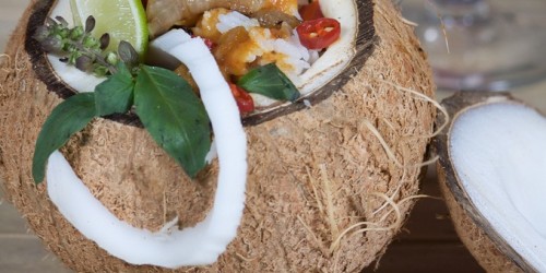 Coconut - The Tree of Life