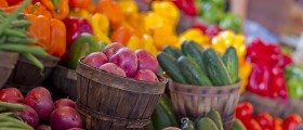 Flavonoids - Bioactive Chemicals Known For Their Antioxidant Activity