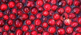 Kitchen Cabinet Cures: Household Remedies for Common Health Problems