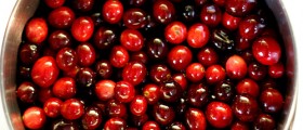 The Health Benefits of Cranberries
