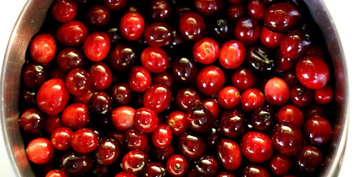 The Health Benefits of Cranberries