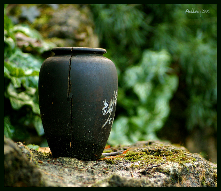 Using dong quai to boost fertility Pregnancy articles Family Health