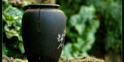 Using dong quai to boost fertility