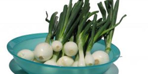 An Onion a Day Keeps the Doctor Away