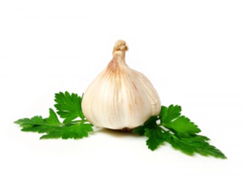 garlic.jpg