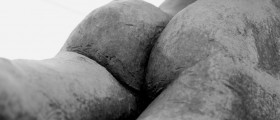 Gluteus MAXimus: Build Your Posterior Powerhouse