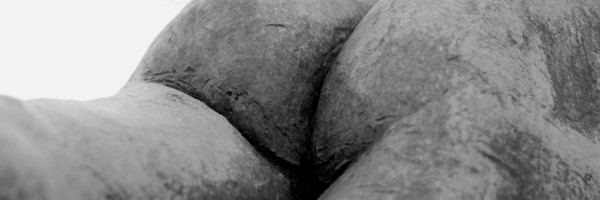 Gluteus MAXimus: Build Your Posterior Powerhouse