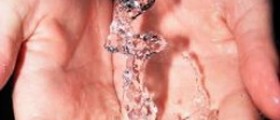 Preventing Infections, Sickness and Flu