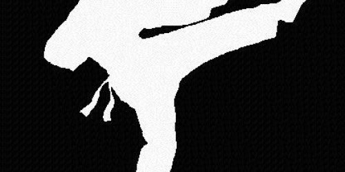 Martial Arts in Western Culture