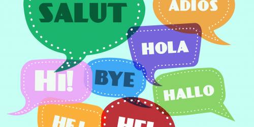 Immersion Vs Rote Memorization: How Do Adult Language Learners Succeed?