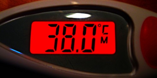 Luteal phase of your menstrual cycle: What is that?