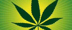Coffee Pot: What Happens When You Combine Marijuana and Caffeine?