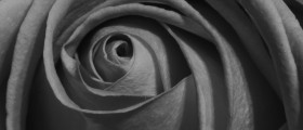Infertility Problems: Trying To Conceive After A Miscarriage