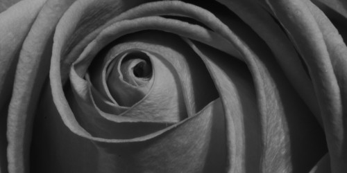 Infertility Problems: Trying To Conceive After A Miscarriage