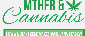 MTHFR and Cannabis: How a Mutant Gene Can Make Marijuana Deadly