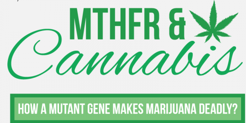 MTHFR and Cannabis: How a Mutant Gene Can Make Marijuana Deadly