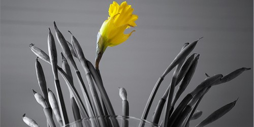 Narcissistic Personality Disorder vs Antisocial Personality Disorder: What's The Difference?