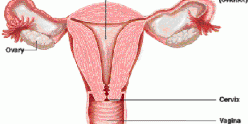 Premature ovarian failure
