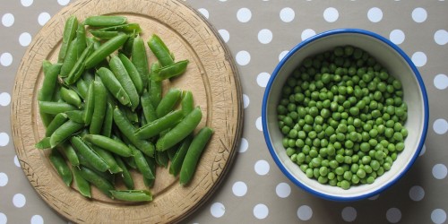 Pea Protein: The Non-Dairy, Gluten-Free, Plant-Based Muscle Maker