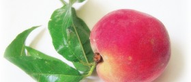 Peaches: Promote Growth, Vision Health, Reproductive System and Boost Immunity
