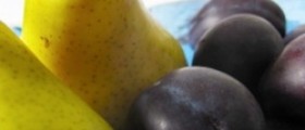 Vitamin E - Potent Antioxidant with an Ability to Regulate the Immunity