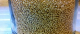The Value Of Pseudo-Cereals Versus Other Grains