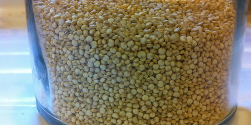 The Value Of Pseudo-Cereals Versus Other Grains