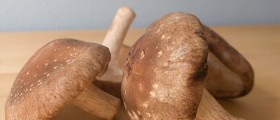 Shiitake Mushrooms: a Powerful Immune System Booster