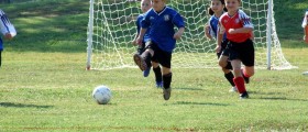 Neuromuscular Programme Drastically Reduces Soccer Injuries