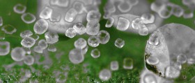 Top 14 Food Ingredients That Are Actually Toxic