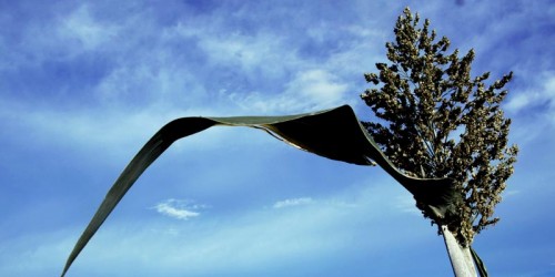 Move Over, Quinoa: Sorghum Is the New Super-Food You’ve Never Heard Of