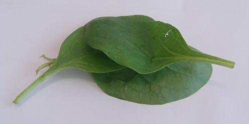 Newsflash: If you are trying to conceive, you need to take folic acid AND B12!