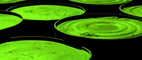 Don't Let Fear Of Toxins Scare You Into Unnecessary Tests And Treatments