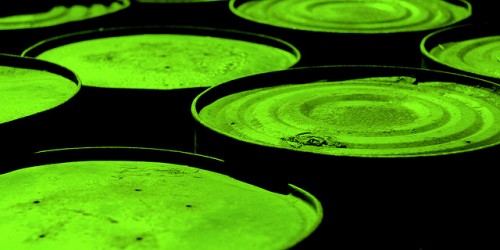 Don't Let Fear Of Toxins Scare You Into Unnecessary Tests And Treatments