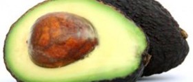 Foods That Improve Your Brain Function