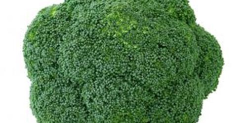 Low Carb Diet Mistakes