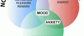 Elavil (Amitriptyline, Endep) Side effects