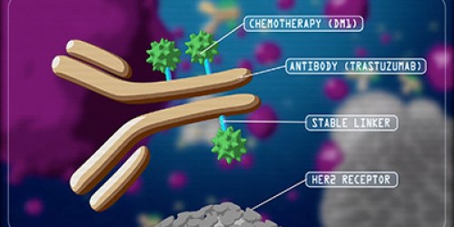 Kadcyla: A Breast Cancer Medication That Targets Tumor Cells While Sparing Healthy Ones Approved