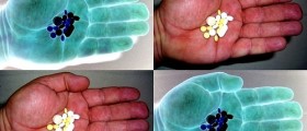 Is Oxycontin Abuse Still On The Rise In The US?