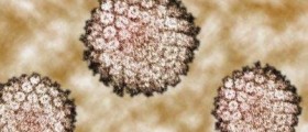 Is Cancer Contagious?